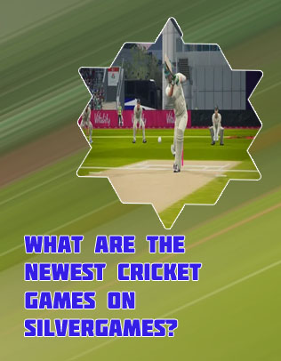 Cricket game for laptop