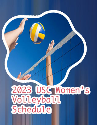 Game volley ball