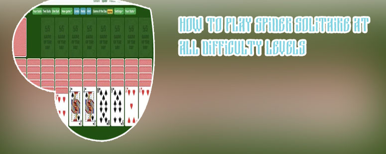 Spider solitaire card games 2 suits
